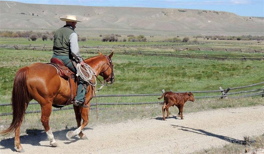 Grant-Kohrs Ranch National Historic Site: 