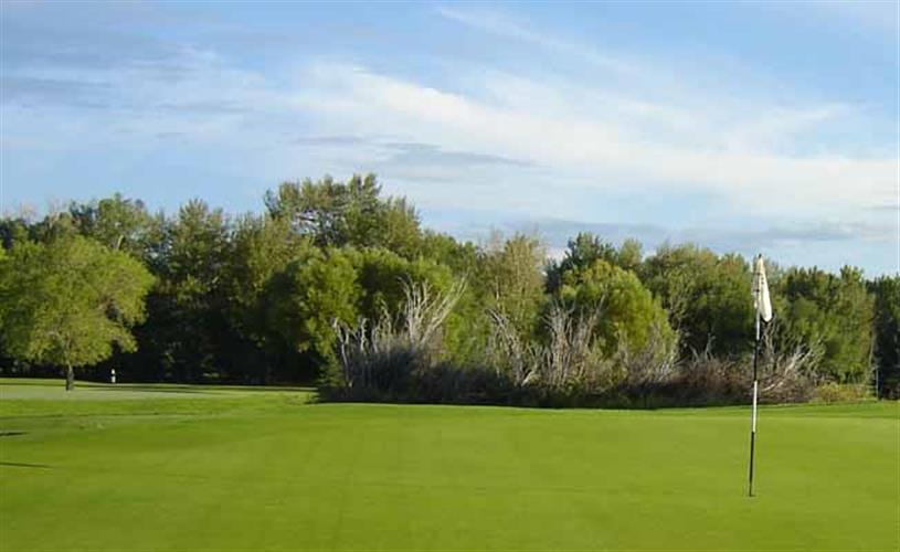 Green Meadow Country Club: golf course