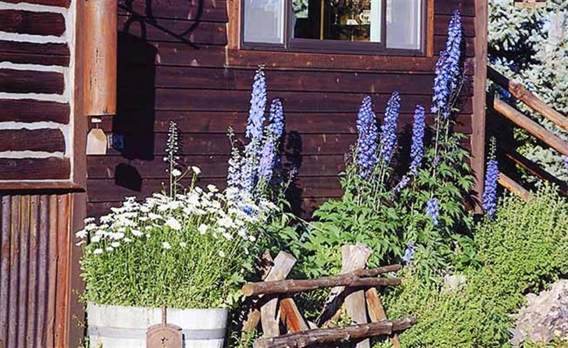 The Montana Lodge: flowers