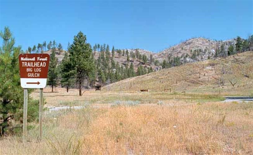 Big Log Gulch Trail: 