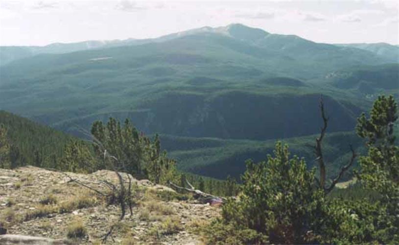 Scapegoat Wilderness Outfitters: mountain top view
