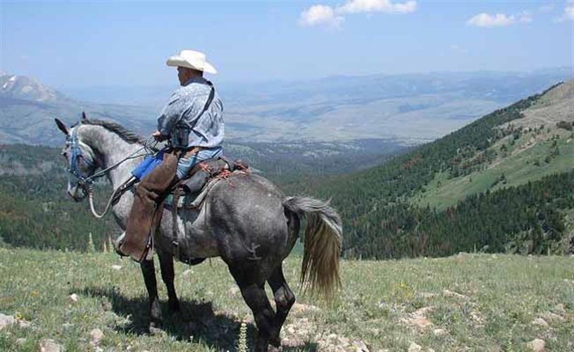 Broken Arrow Lodge & Outfitters: horseback riding