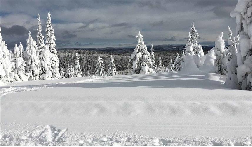 Chief Joseph Cross Country Ski Trail: 