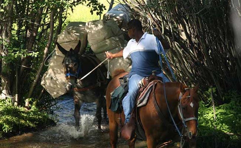 The Peak Inc.: pack trip