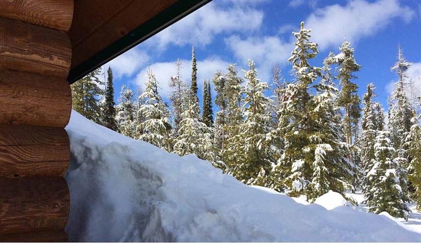 Chief Joseph Cross Country Ski Trail: 