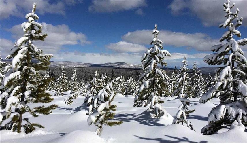 Chief Joseph Cross Country Ski Trail: 