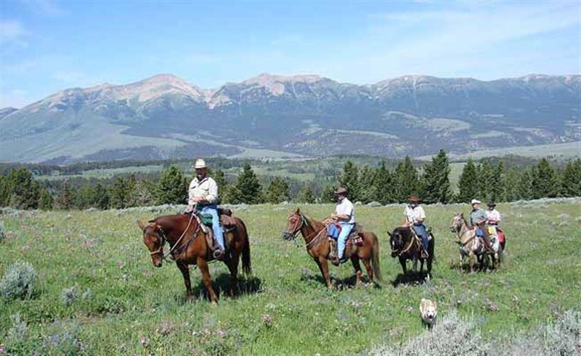 Broken Arrow Lodge & Outfitters: horseback riding