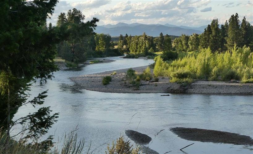 Blackfoot Angler & Supplies: 