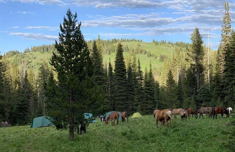 Centennial Outfitters: 