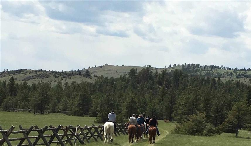 Summer Star Ranch Horseback Rides: 