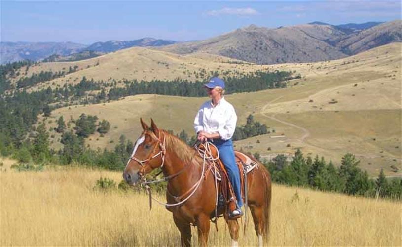 Hidden Hollow Hideaway Cattle & Guest Ranch: 