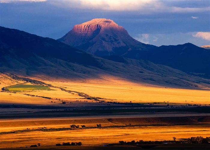 Ennis Chamber of Commerce: 