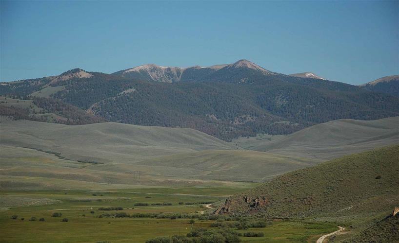 Hildreth Livestock Ranch: 