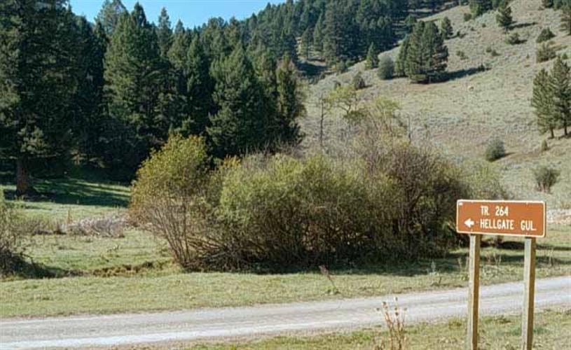 Thompson Hellgate Trail: 