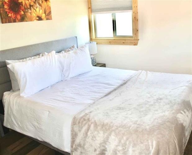 Heart and Soul Alpacas and Guest Cabins: 