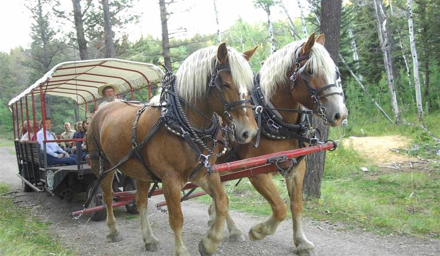 Last Chance Ranch Wagonride Dinner Show: 