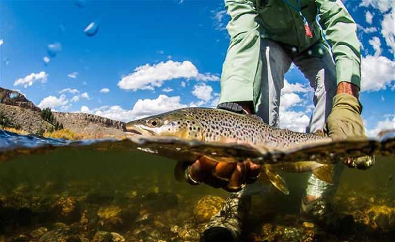 Madison Valley Ranch: 