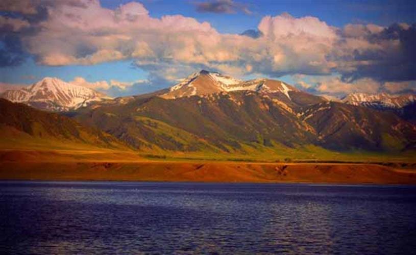 Apex Management & Real Estate: Madison Range