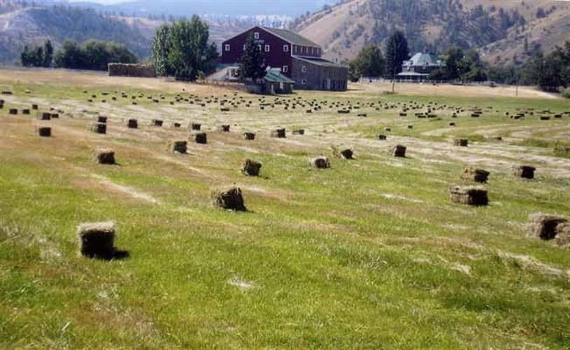 The Kleffner: scenic location