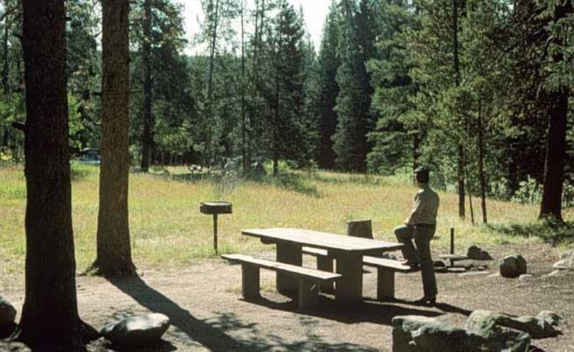 Grasshopper Campground: 